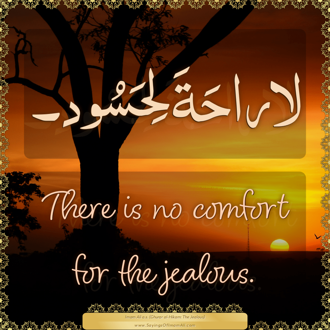 There is no comfort for the jealous.